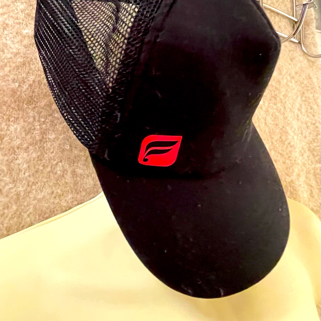 Fabletics Black Ball Cap